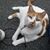 Kathleen L Frederick's profile image