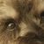 Jeff Mainor's profile image