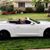 Linda Shaffer's profile image