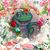 Donna Kuhfuss's profile image