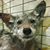 Gail Barnett's profile image