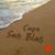 Tracy Williams Wahler's profile image