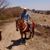 Marcos Fernandez's profile image