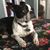 Judy Hoisington's profile image