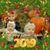 Judy Marler's profile image