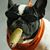 Jeff Lyons's profile image