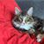 Claudia Engel's profile image