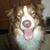 Mark Coorough's profile image