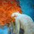 Julia Flynn's profile image