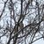 Joanne Staunton Jackson's profile image