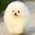 Sandy Shelly's profile image