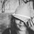 Jenifer Torres's profile image