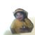 Elena Lopez's profile image