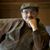 Emile Bernard Evans's profile image