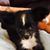 Dawn Sharpless's profile image