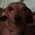 Brian Skeen's profile image