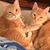 Cathy Gidcumb's profile image