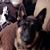 Donna Suerth's profile image