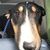 Leah Lindsey Jackson's profile image