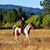 Jo Gathercole's profile image