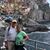 Celeste Wertz's profile image