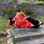 Cassie Clark's profile image