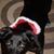 Colleen Eckley's profile image