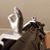Daniel Highberger's profile image