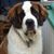 Regina A Wilson's profile image