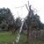 Paul Hamby's profile image