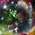 Sonia Scruggs's profile image