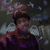 Cheria Stafford's profile image