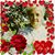 Marie Dean's profile image