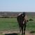 Nanci Straughan Saunders's profile image
