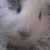 Valerie Colby's profile image