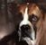 Tony Leach's profile image