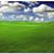 Angela Price Parsons's profile image