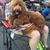 Donny Brock's profile image