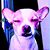 Ezzy Trujillo's profile image