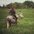 Mary Carol Doornbos's profile image