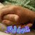 Gary L Crawford's profile image