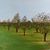 Rebecca Tickle Landscapes's profile image