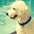 Kathleen Grandell Reed's profile image