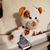 Sharon Rosen Fuller's profile image