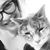 Helene Vanderschelden's profile image