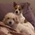 Carrie Hockenberry's profile image