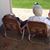 Heather Brunnemer's profile image