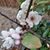 Harichandana Vemireddy's profile image
