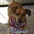 Kay Miller Evans's profile image