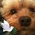Claudia Mukai's profile image